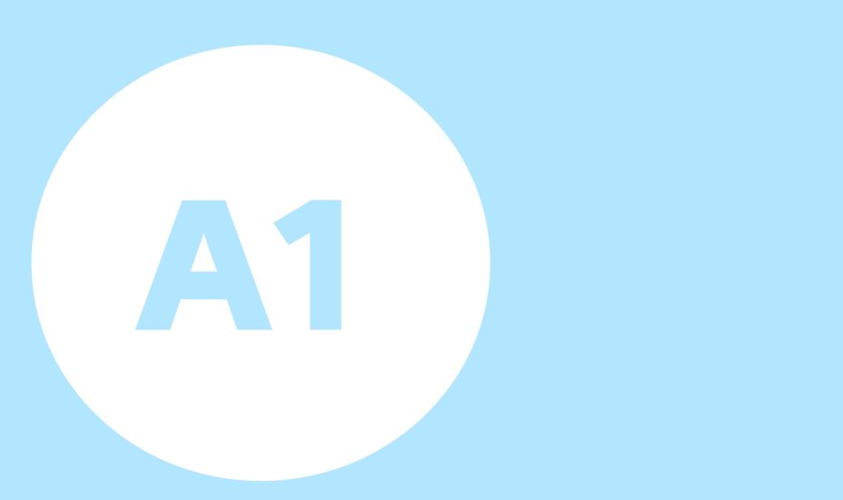 A1 szint