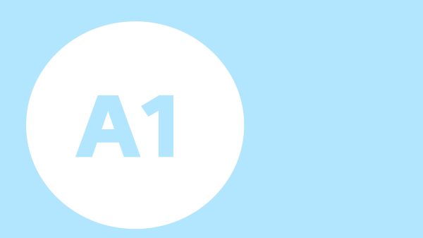 A1 szint